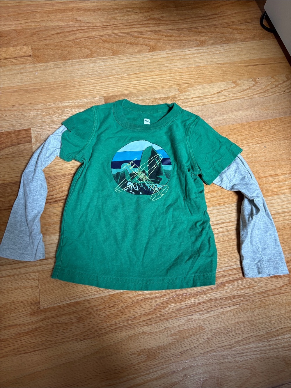 Tea Collection Green Layered-Look Long Sleeve Tee with Gray Sleeves